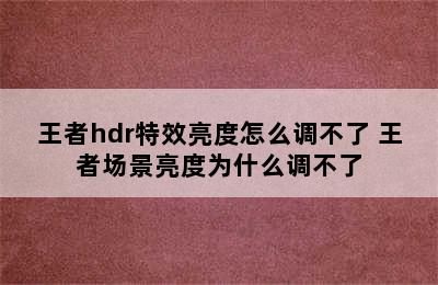 王者hdr特效亮度怎么调不了 王者场景亮度为什么调不了